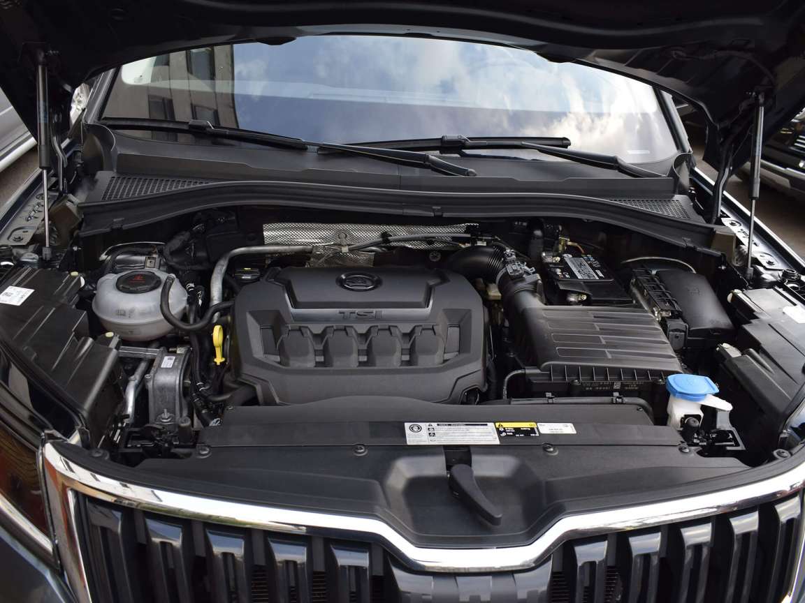 Skoda Kodiaq детейлинг мойка двигателя и полировка кузова